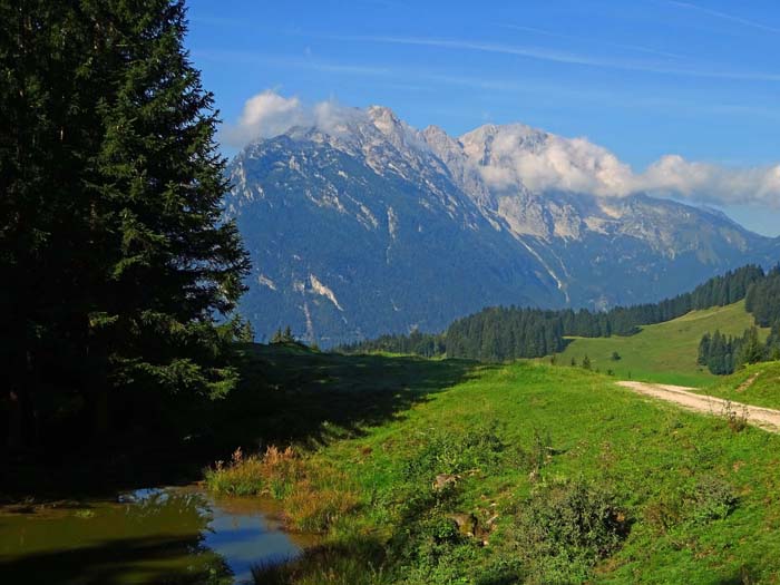 im Abstieg noch einmal der von hier stark verkürzt erscheinende Kuchler Kamm, der längste Grat auf den Hohen Göll