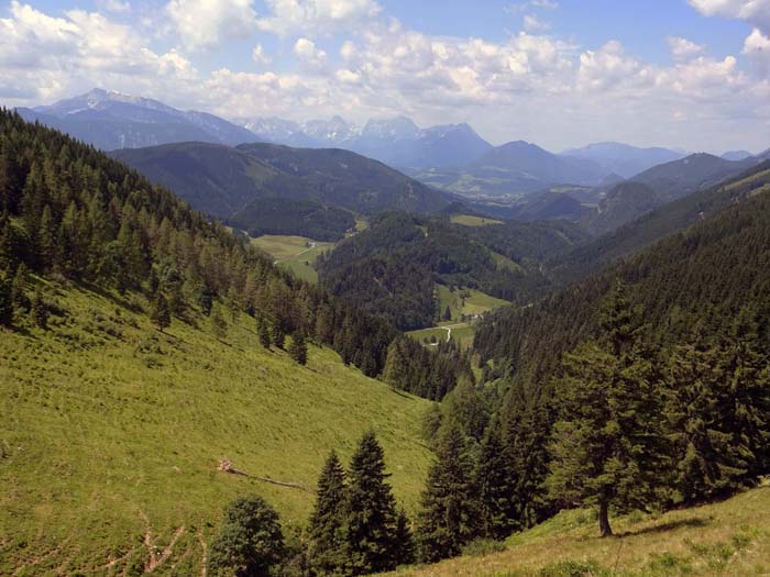 ... von dem wir uns hinunter auf die gleichnamige Alm halten