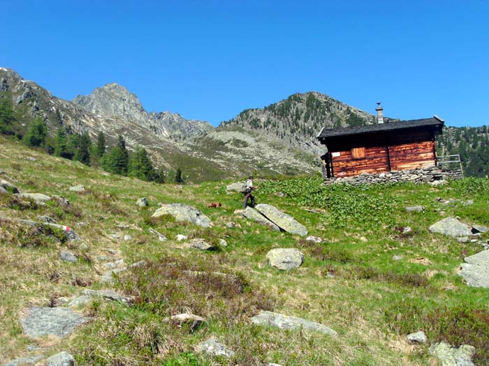 Jäger und Hund auf den letzten Schritten zur alten Seekarhütte; im WNW der Steinkarkogel