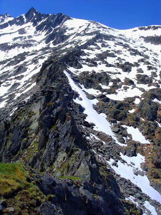 ... weichen bald einem scharfen Urgesteinsgrat, der sich als schlangenförmige Felsader bis fast ganz hinauf zum Gipfelkamm fortsetzt