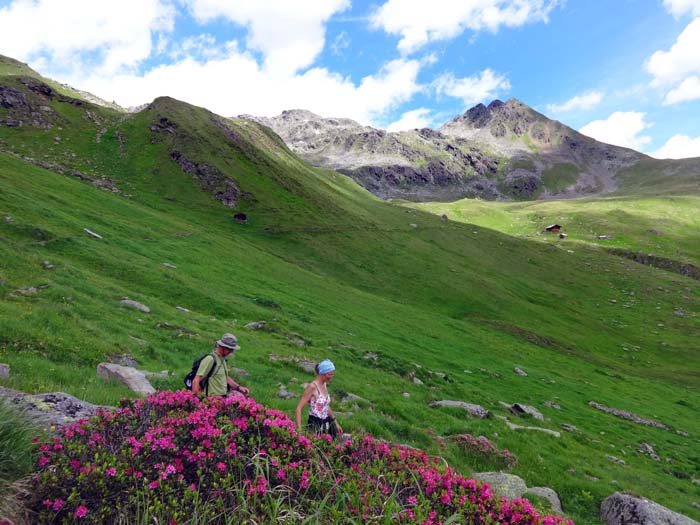 ... über den Blumenweg hinüber zum Erlsbachgraben; oberhalb der Hütte der dreigipfelige Schober