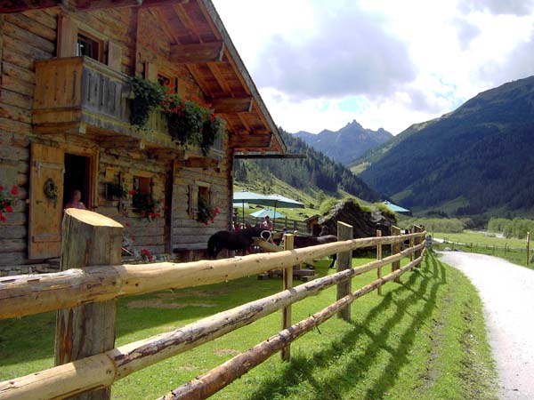 die Gollehenalm am Beginn des inneren Tales ist die erste Jausenstation auf dem Weg zum Rauriser Tauernhaus