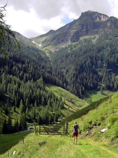 die Weißenbachrinne - eine fantastische Frühjahrsschitour - zieht vom Krimmler Tauernhaus (verdeckt vom Wiesenkamm) weit hinauf zum Hauptkamm; sogar im hier sichtbaren Auslauf liegen Mitte August noch Schneereste