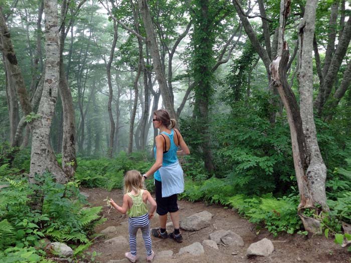 durch den Nebelwald des Südostrückens treten Ulli und Ronja den Abstieg an