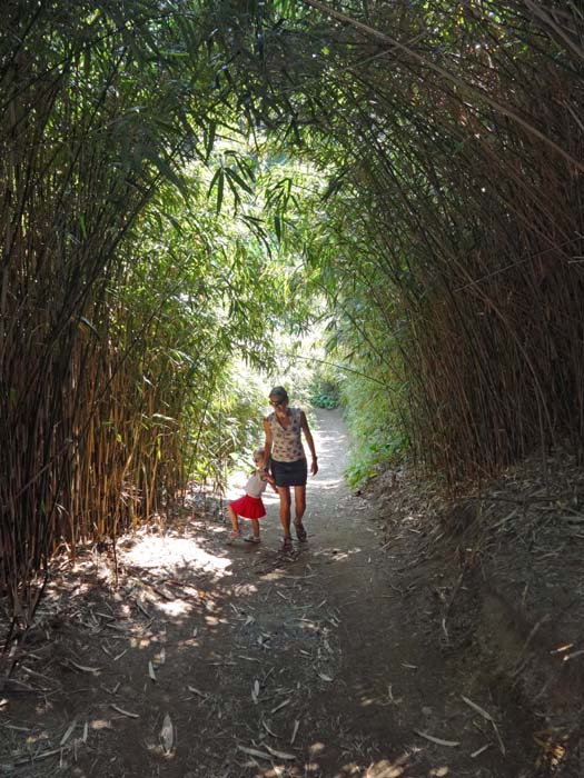 durch einen Tunnel im Bambusdschungel erklimmen wir ...