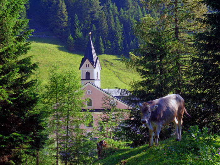 ... zum Servitenkloster Maria Waldrast, unserem Ausgangspunkt