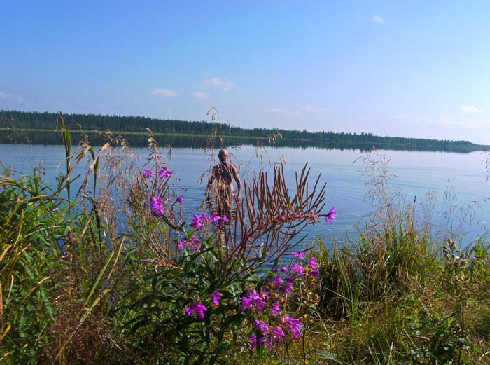 das finnische Rovaniemi - und damit der Polarkreis - liegt bereits weit hinter uns; in Mitteleuropa denkt man dabei kaum an Badefreuden