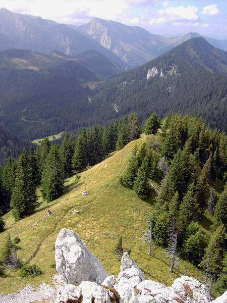 Blick von der WSW-Gratschneide oberhalb des Steilaufschwungs gegen die Schneealpe