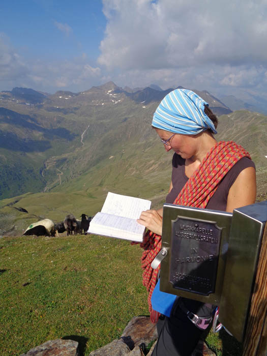 die Hochalmspitze wird viel besucht; über die folgende lange Gehstrecke bis ins Gsaritzer Törl führt ein markierter Weg, ganz hinten am Eck der Wolkenbank das Große Degenhorn, der letzte Gipfel unserer dritten Villgratner-Etappe