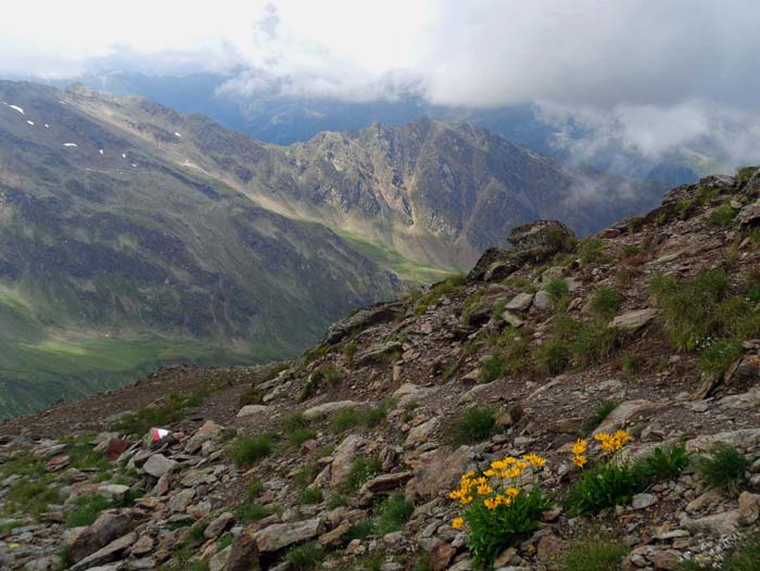 vom Gr. Degenhorn führen wieder markierte Wege in die Täler; gegen SW in Richtung Oberstaller Alm die Kaschaswand