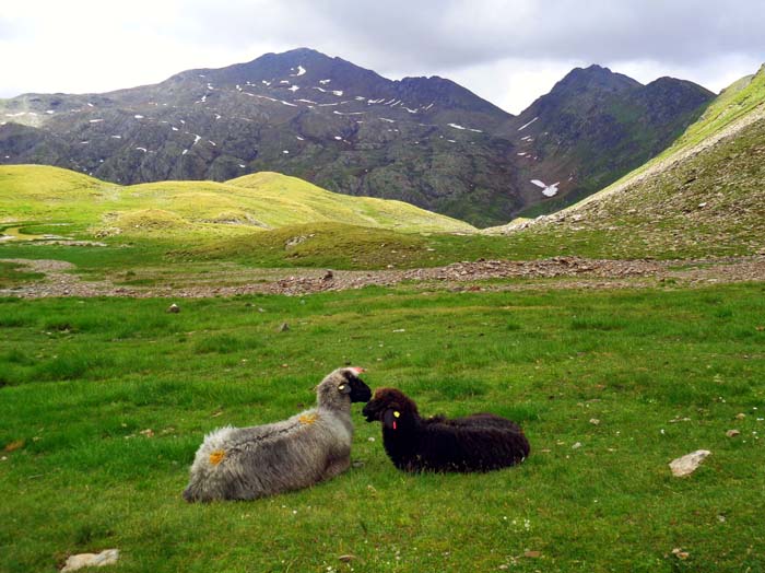 endlich klärt sich für die beiden Verliebten der Blick zur Hochgrabe (s. Archiv Schitouren)