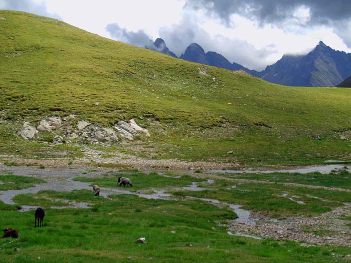 Carstensz-Pyramide auf Neuguinea? - Arnhörner und Rappler (s. Archiv Bergsteigen) in Osttirol