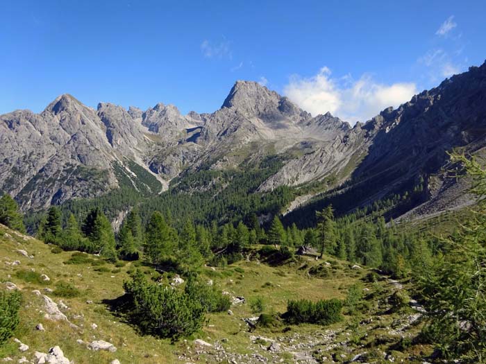 die obersten Lärchen der Alm, darüber von rechts Zochenpass, Simonskopf, Sandspitze und die beiden Gamswiesenspitzen mit dem schönen Madonnen-Klettersteig (s. ebenfalls Archiv)