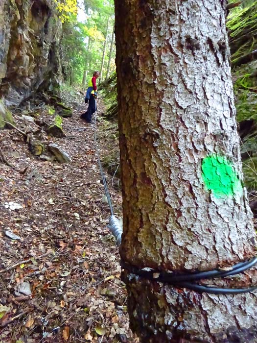 ... die ersten originellen „Versicherungen“, die weitgehend verblasste alte Markierung wurde durch grüne Punkte ersetzt