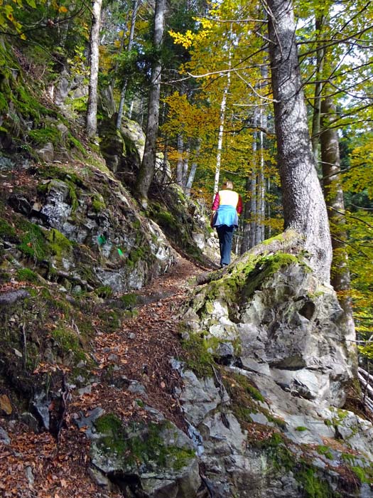 der Steig ist meist recht gut in Schuss