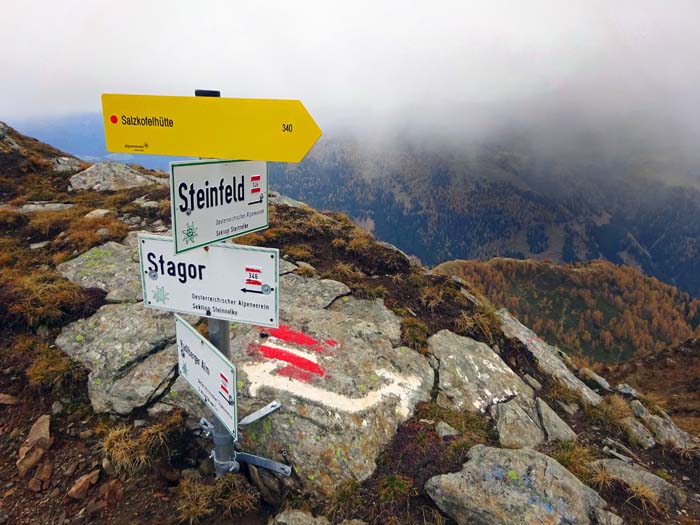 Schilderwald am Neubergtörl; knapp unter der Schartenkehle ist der Steig von einer Hangrutschung stark in Mitleidenschaft gezogen