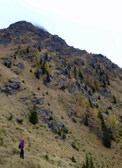 entlang der Stagor-Westflanke ist der bez. Wanderweg teilweise sehr stark vernarbt