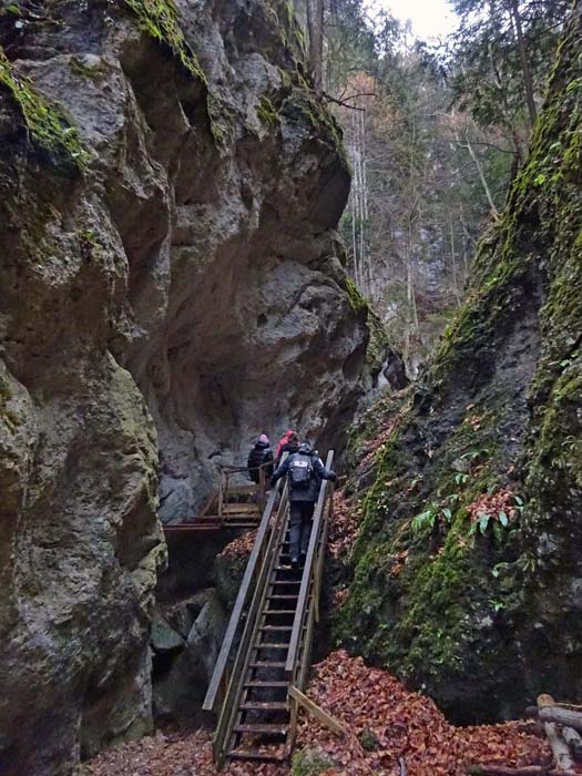 die unschwierige Steiganlage durch die romantische Steinwandklamm ...