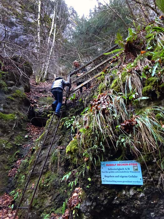 der Rudolf-Decker-Steig führt durch die ca. 150 m hohen, von Höhlen durchzogenen Felswände links der Klamm