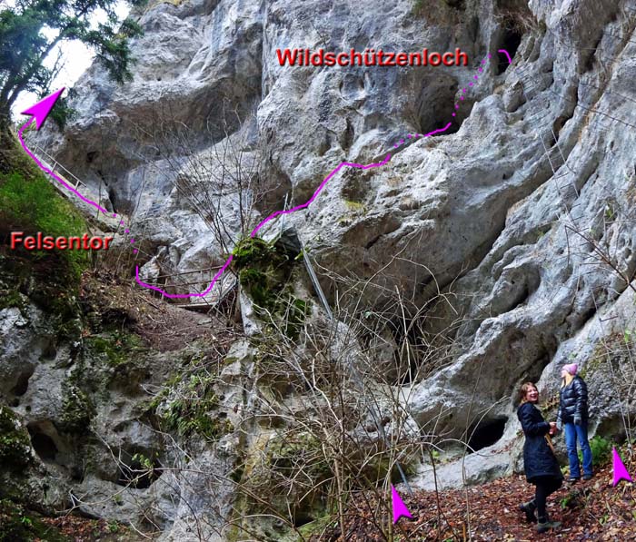 der Klettersteig wurde schon 1927 angelegt, Schlüsselstelle ist die fast 20 m hohe, annähernd senkrechte Leiter hinauf ins „Wildschützenloch“; links davon wurde 1983 zur Entschärfung dieser spektakulären Turnübung eine nur halb so hohe Leiter errichtet