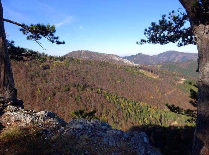 ... den baumbestandenen Gipfel des Felsriffs, welches jedoch freie Aussicht nach Norden auf Geißstein und Hocheck (den östlichsten 1000er der Alpen) bietet