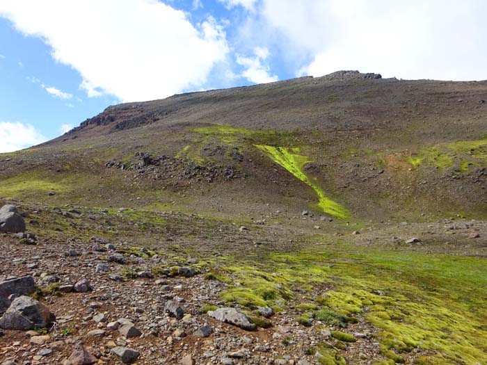 man erreicht ein muldenartiges Wiesenplateau, darüber die flachere Gipfelflanke