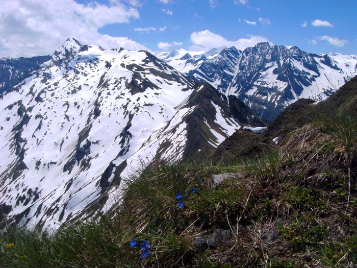 ... öffnet sich ein überwältigender Blick vom Hohen Herd über die 3000er des Habachkammes bis hin zum Gletscherdach des Großvenediger