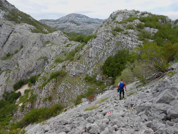 kurz vor dem Vratlom-Sattel; den unangenehmen Steilabstieg durch den erdigen Laubwald haben wir schon hinter uns