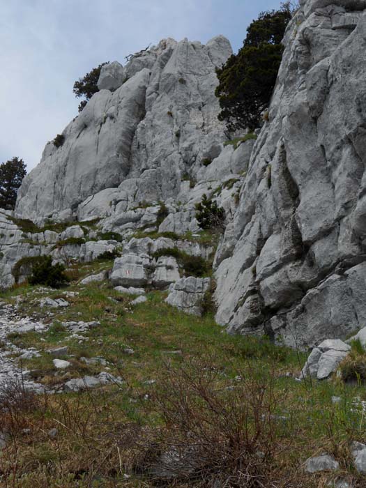 der Gipfelbereich wird auch auf der zahmeren SO-Seite immer alpiner