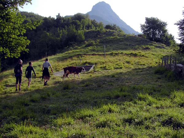 die Kälberwiese am Beginn des Aufstieges