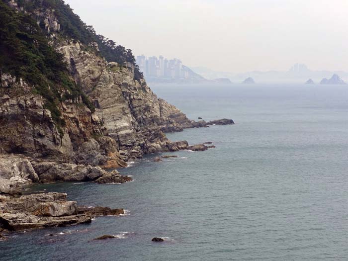 durch die grünen Wälder des Taejongdae-Parks auf Yeong-do führt der Weg zur eindrucksvollen Südküste der Insel - alles im Stadtgebiet von Busan