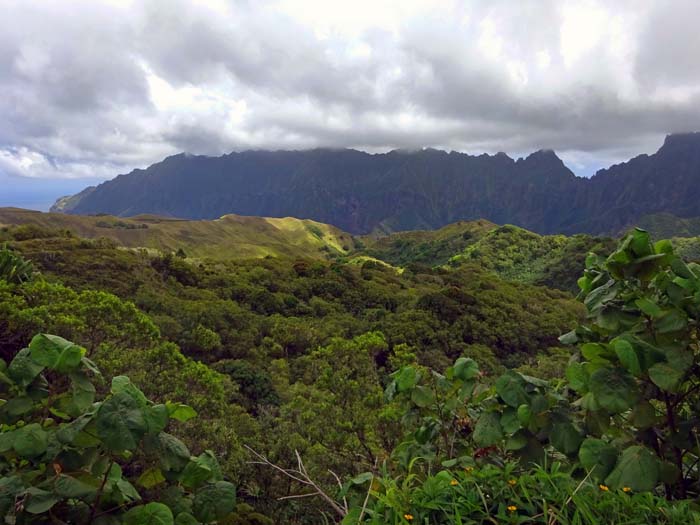 auf ca. 600 m Höhe, knapp unterm Gipfel des Teamotua, überblickt man erstmals den felsigeren Norden von Fatu Hiva