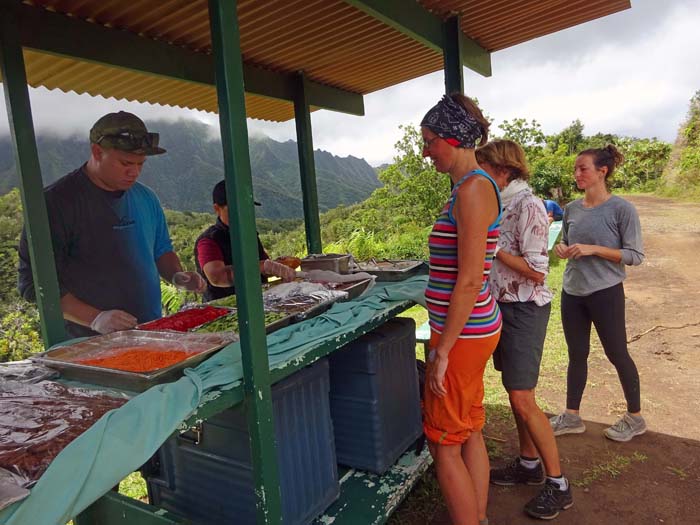 die Besatzung der Aranui hat am höchsten Punkt tatsächlich ein Lunchbuffet für die Wanderer aufgebaut; auch die Schnellsten - eine flotte Hamburgerin und eine begeisterte junge Wanderin aus Florida - ...