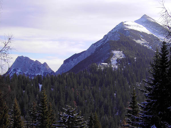 Blick von der Eggeralm gegen O auf Almmauer (links) und Tamischbachturm