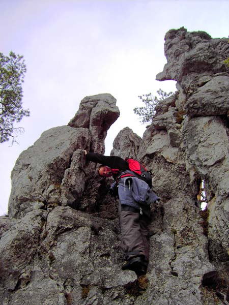 eine der bizarren Felsgruppen im Hochwald lässt sich nicht umgehen; durch eine schmale Scharte zwischen diesen Drachenzähnen ...