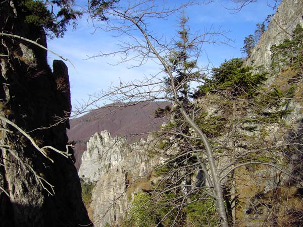 zurück am Fuß des Traunstein - Blick vom unteren Teil des Hernlersteiges in die Kaltenbachwildnis