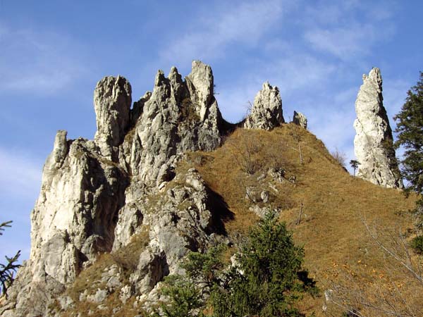 die Fünffingerspitze über der Kaltenbachwildnis