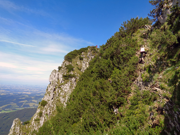 vor dem Steilaufschwung des obersten Ostgrates (V) klettern wir in der rechten Flanke ein Schrofenwandl ab ...