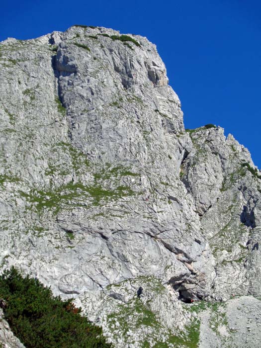 die Ostwand der Traweng; unser „Gamsblick“ beginnt unmittelbar links der Höhle und zieht in gerader Linie empor aufs Gipfeldach