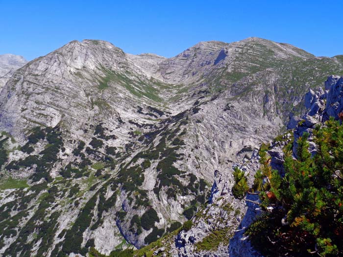 gleich links daneben der Haberboden zwischen Scheiblingtragl und Tragl, durch den die traumhafte Schiabfahrt in den Geisterwald führt (s. Archiv Schitouren)