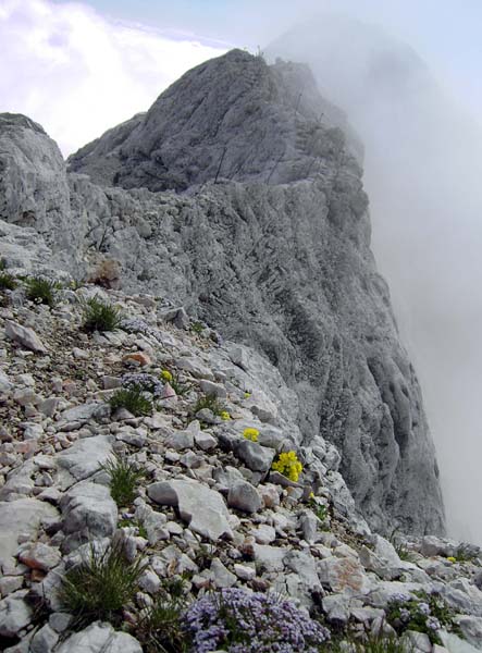 überraschend vielfältige Vegetation am schmalen, hoch gelegenen Verbindungsgrat