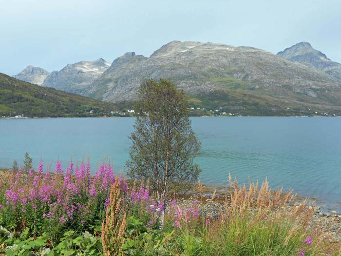 auf unserem Weiterweg in Richtung Senja durchqueren wir die Insel Kvaløya westlich von Tromsø; die Blåmanngruppe kennen wir schon vom Tromsdalstind, hier von SO (innerer Kaldford)