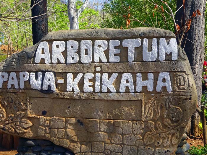 auf der einzigen Straße, welche die drei Orte auf der Insel verbindet, geht es hinauf in die Berge zum Arboretum