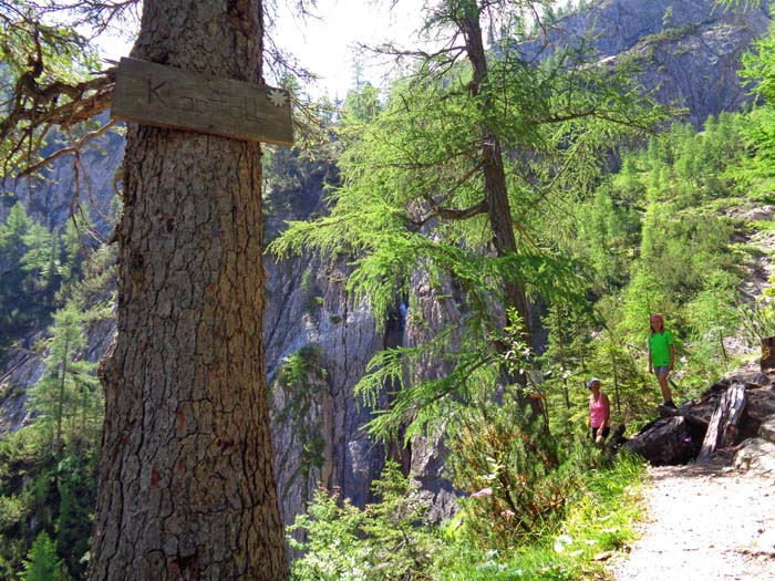 vor der sperrenden Steilstufe beim Klapffall führt ein kurzer Steig vom Wanderweg links ab ...