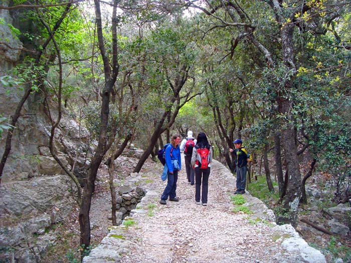 drei alte Wege führen zum Kloster: unser Schluchtabstieg, ein Pfad vom Weiler Obršje und der Weg von der Küste herauf