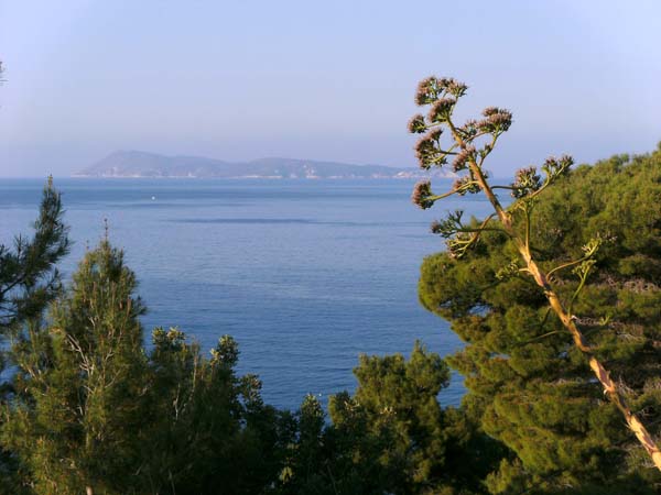 gleich hinter der Stadtgrenze erklimmt der Wanderweg (am Horizont Biševo) ...