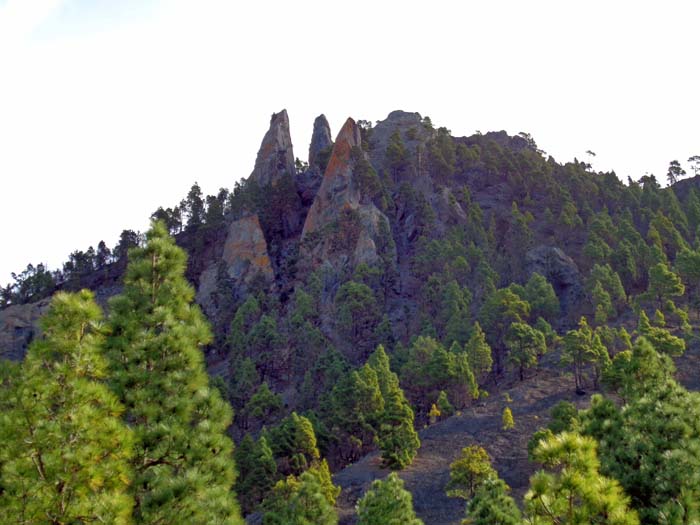 ... zu den Campanarios am Westabhang des Volcán Tajuya; bei den abenteuerlichen Zinnen handelt es sich um alte auserodierte Vulkanschlote