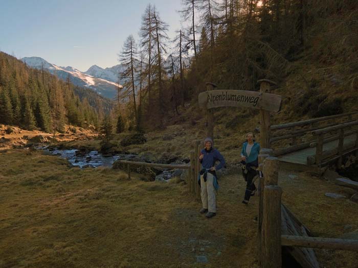 Start am nordöstlichen Ast des Alpenblumenweges