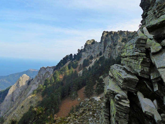 bald wird der Kamm felsig; Blick in die steile NO-Flanke