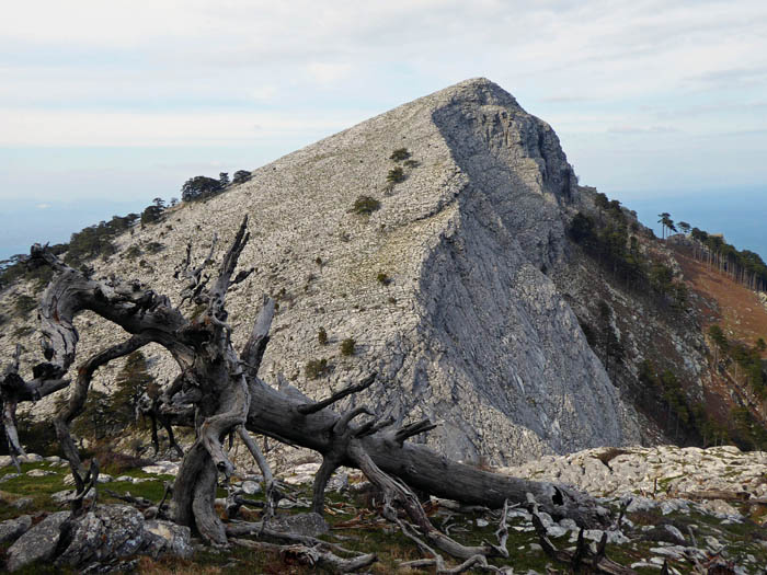 hinter dem Nordgipfel ein tieferer Sattel, dann in gerader Linie über die gebänderte Plattenflanke ...